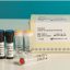 PaxView20COVID-1920real-time20RT-PCR20Kit